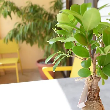 Appartamento Ariadni Click And Flat Perivolia *