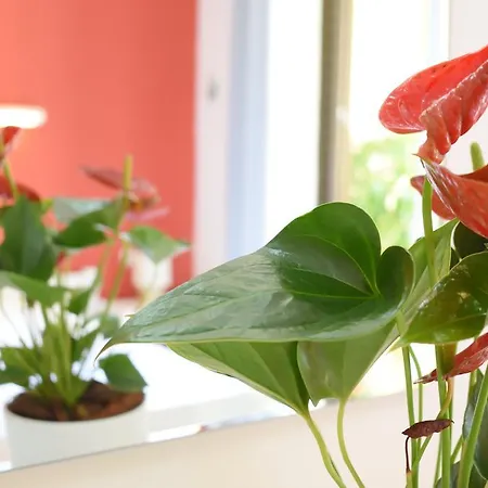 Ariadni Click And Flat Perivolia Apartman